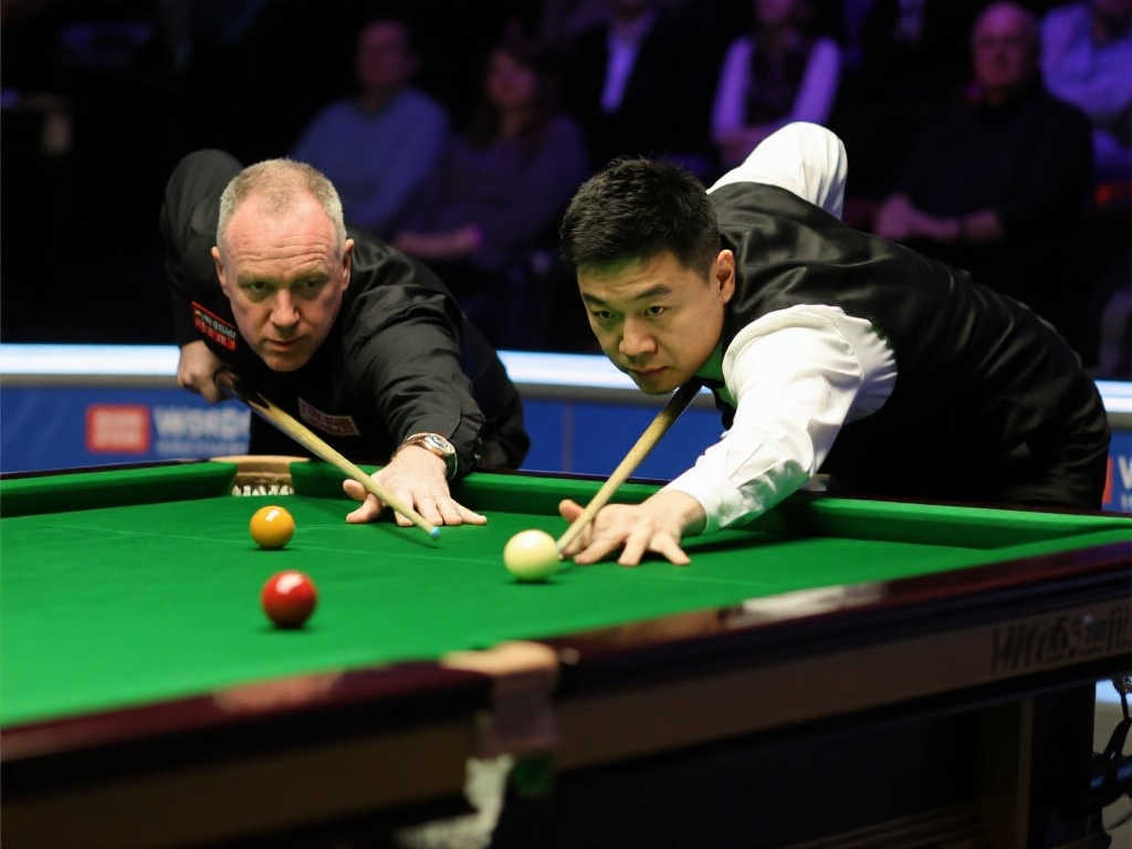 的多样性和 的多样性和